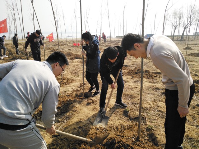 临沂新华参加义务植树活动 第 3 张 临沂新华参加义务植树活动 第 3 张